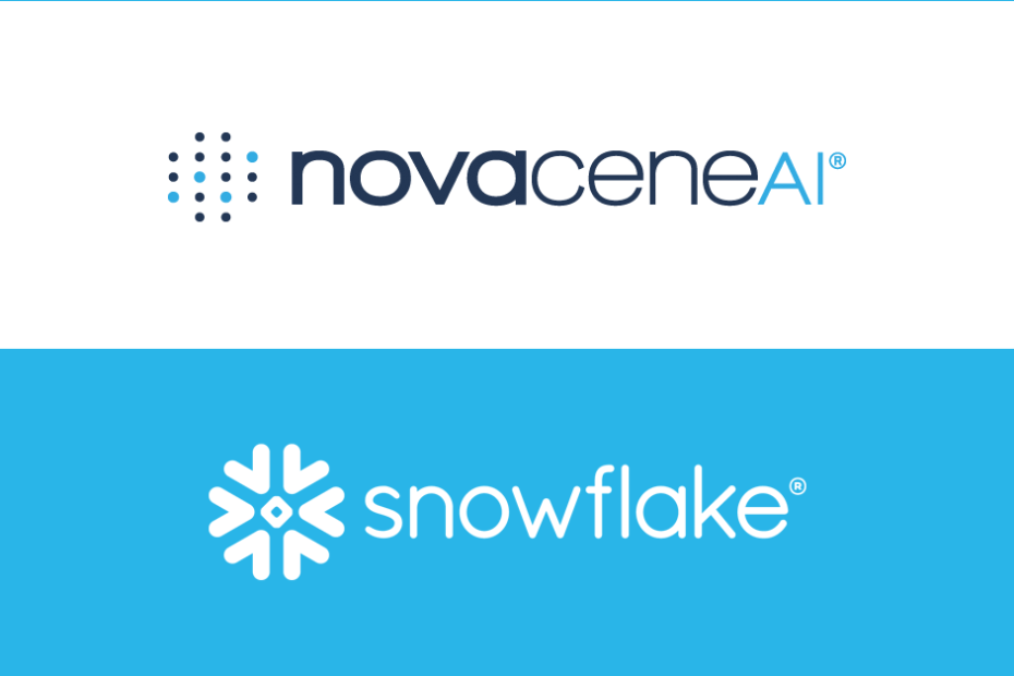 Novacene + Snowflake